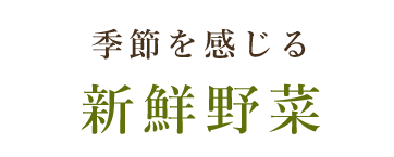 季節を感じる 新鮮野菜